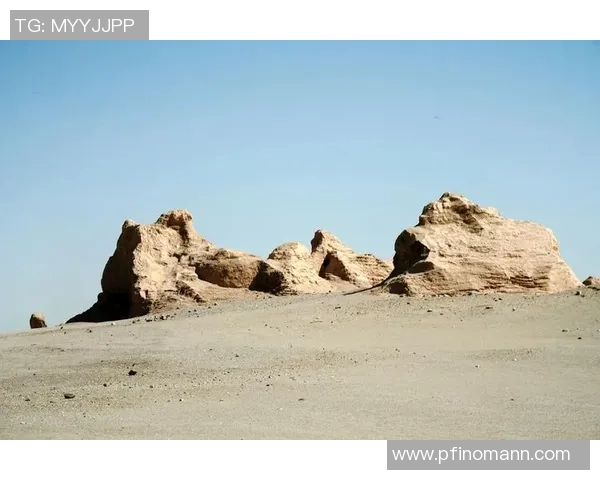 拉波尔特：探索未来科技与人类生活的交汇点与创新之路