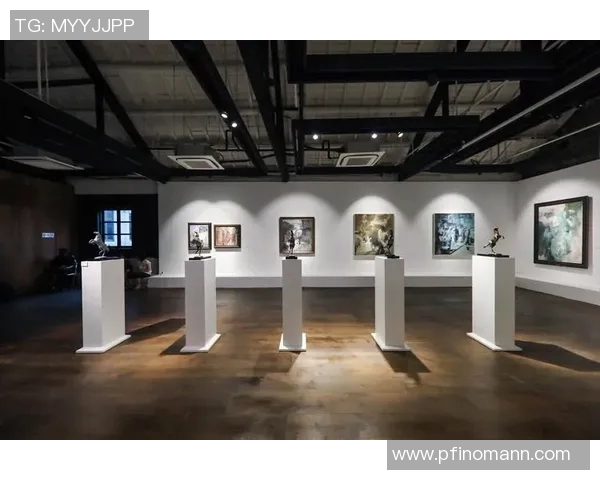 米美洲与达伽马的历史交锋与文化碰撞探讨