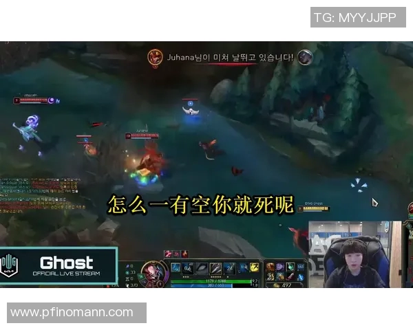 独家解析：TES战术风格与对手的深度对比与启示