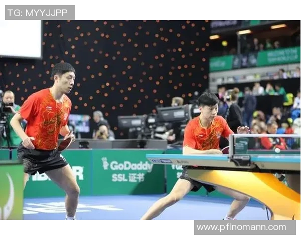 南京乒乓球队技术分析与发展探讨聚焦乒乓球运动的未来趋势与挑战