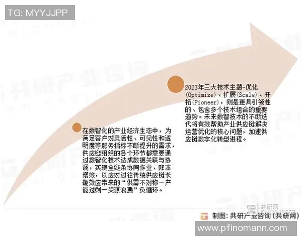 南京篮球队的盯防革新探索与实践全景分析